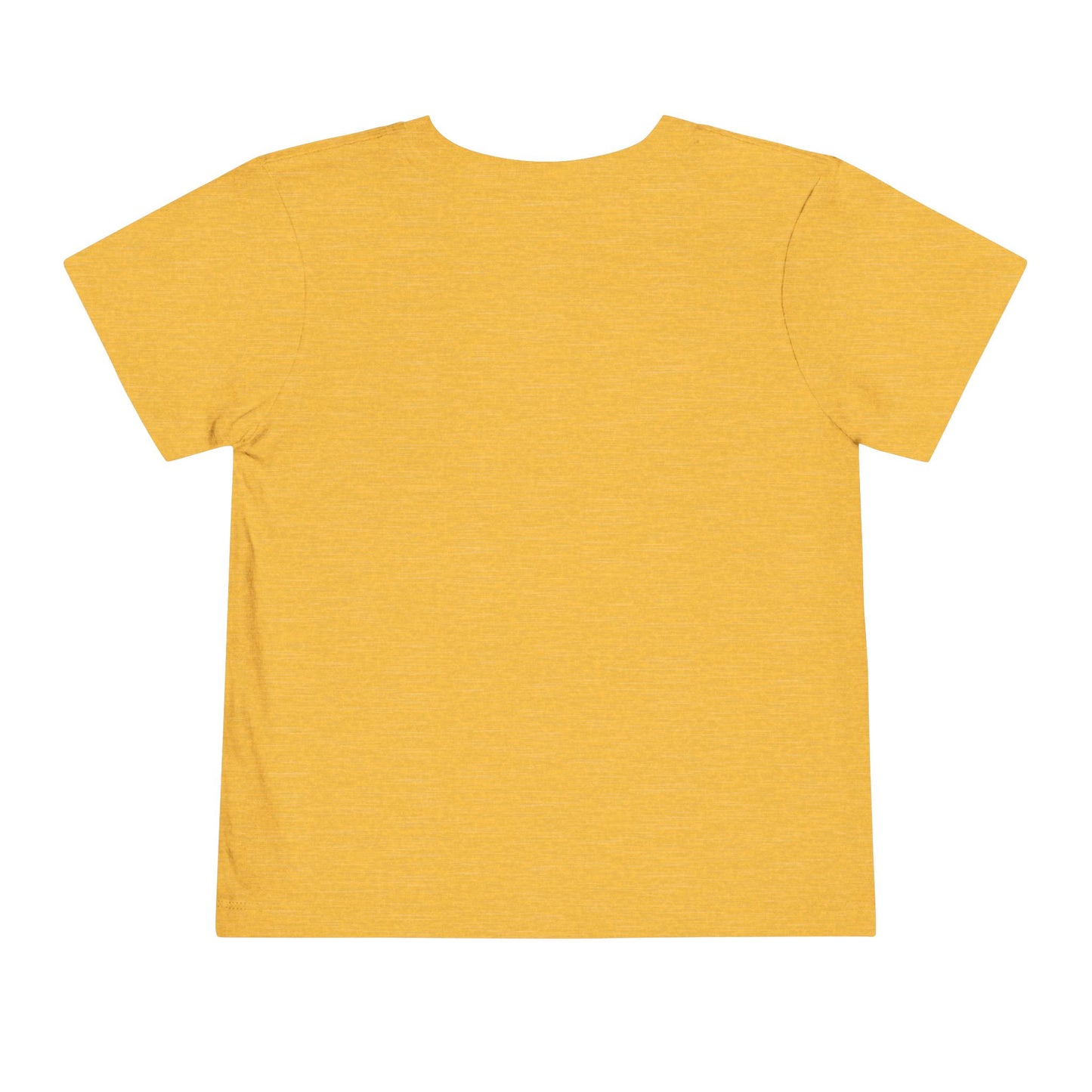 Chosen Generation Toddler Tee – 1 Peter 2:9 Christian Shirt