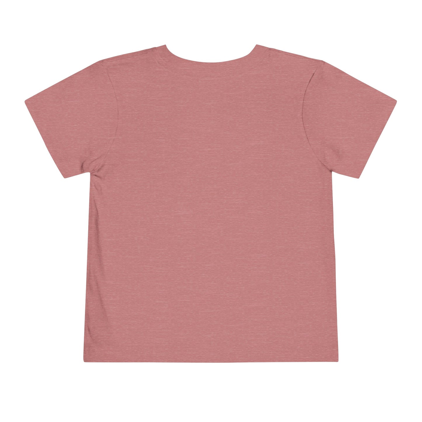 Chosen Generation Toddler Tee – 1 Peter 2:9 Christian Shirt
