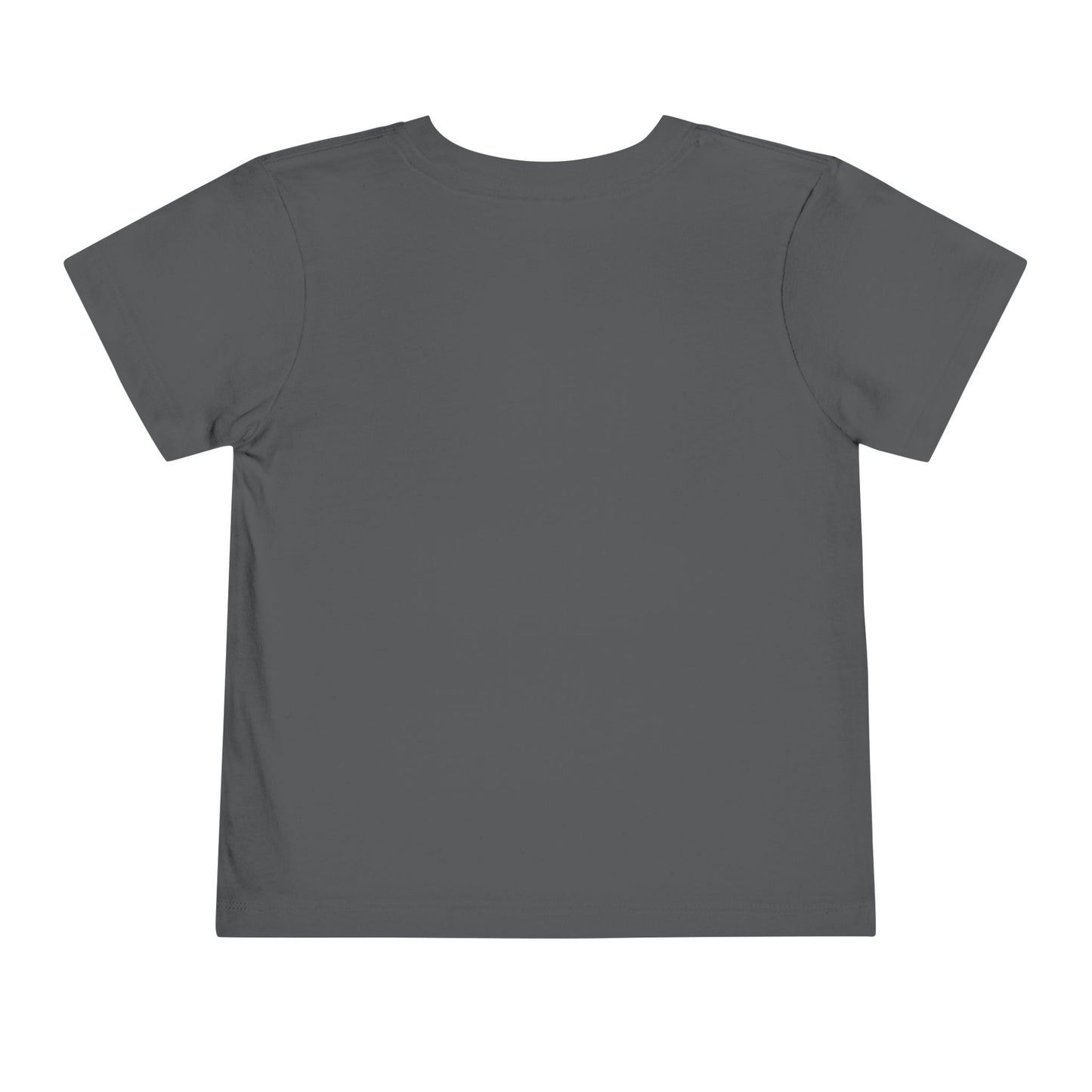Chosen Generation Toddler Tee – 1 Peter 2:9 Christian Shirt    Asphalt / 2T-Black / 2T-Navy / 2T-Pink / 2T-Dark Heather Grey / 2T 