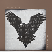 Renewed Strength Tee – Inspired by Isaiah 40:31    White / S-Berry / S-Blue Spruce / S-Brick / S-Graphite / S 