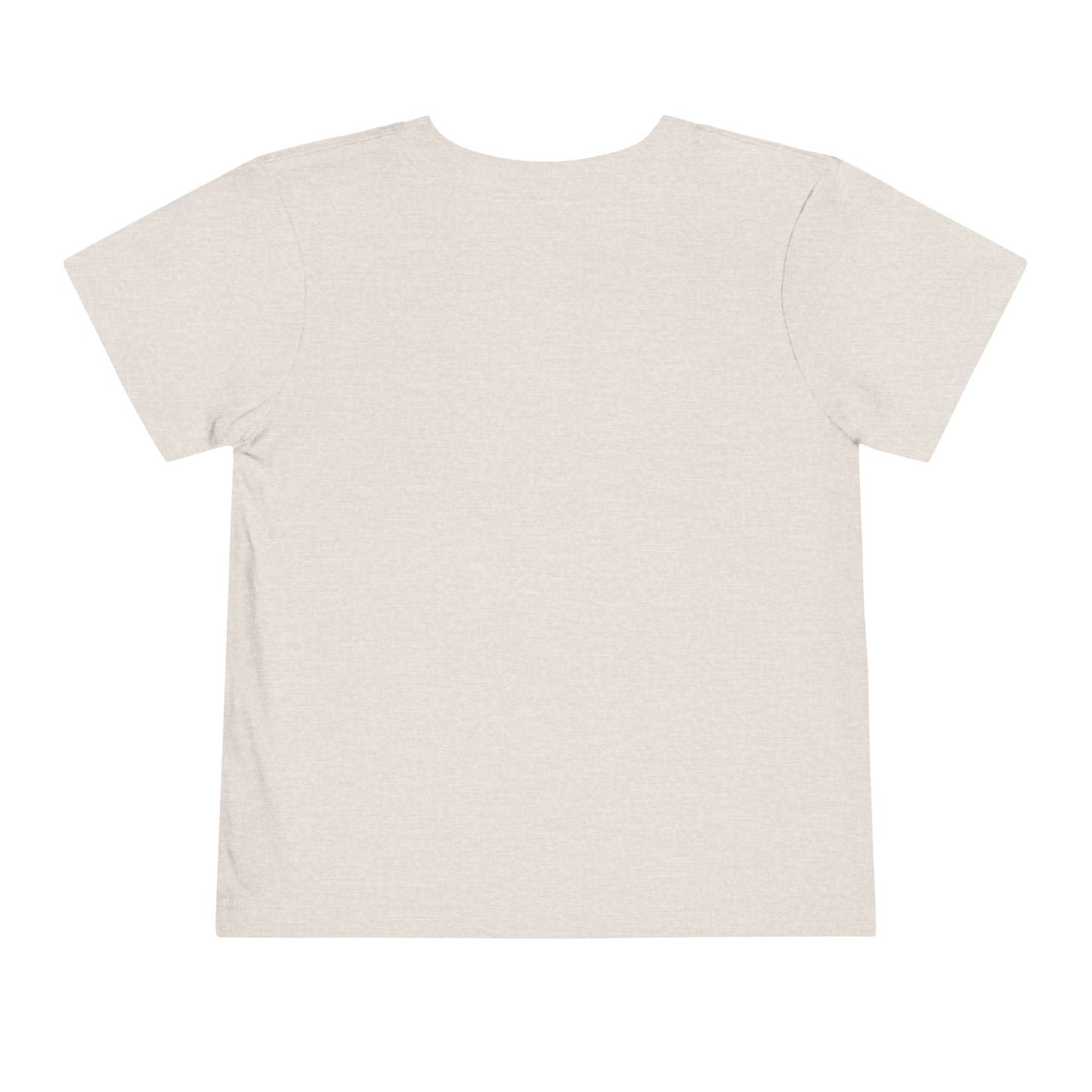 Chosen Generation Toddler Tee – 1 Peter 2:9 Christian Shirt    Asphalt / 2T-Black / 2T-Navy / 2T-Pink / 2T-Dark Heather Grey / 2T 