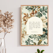 Colossians 3:1 Botanical Background