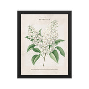 Genesis 1:1 - Vintage Style Floral on Beige Background    Unframed Matte Paper / 8″×10″-Unframed Matte Paper / 11″×14″-Unframed Matte Paper / 12″×16″-Unframed Matte Paper / 16″×20″-Unframed Matte Paper / 18″×24″ 