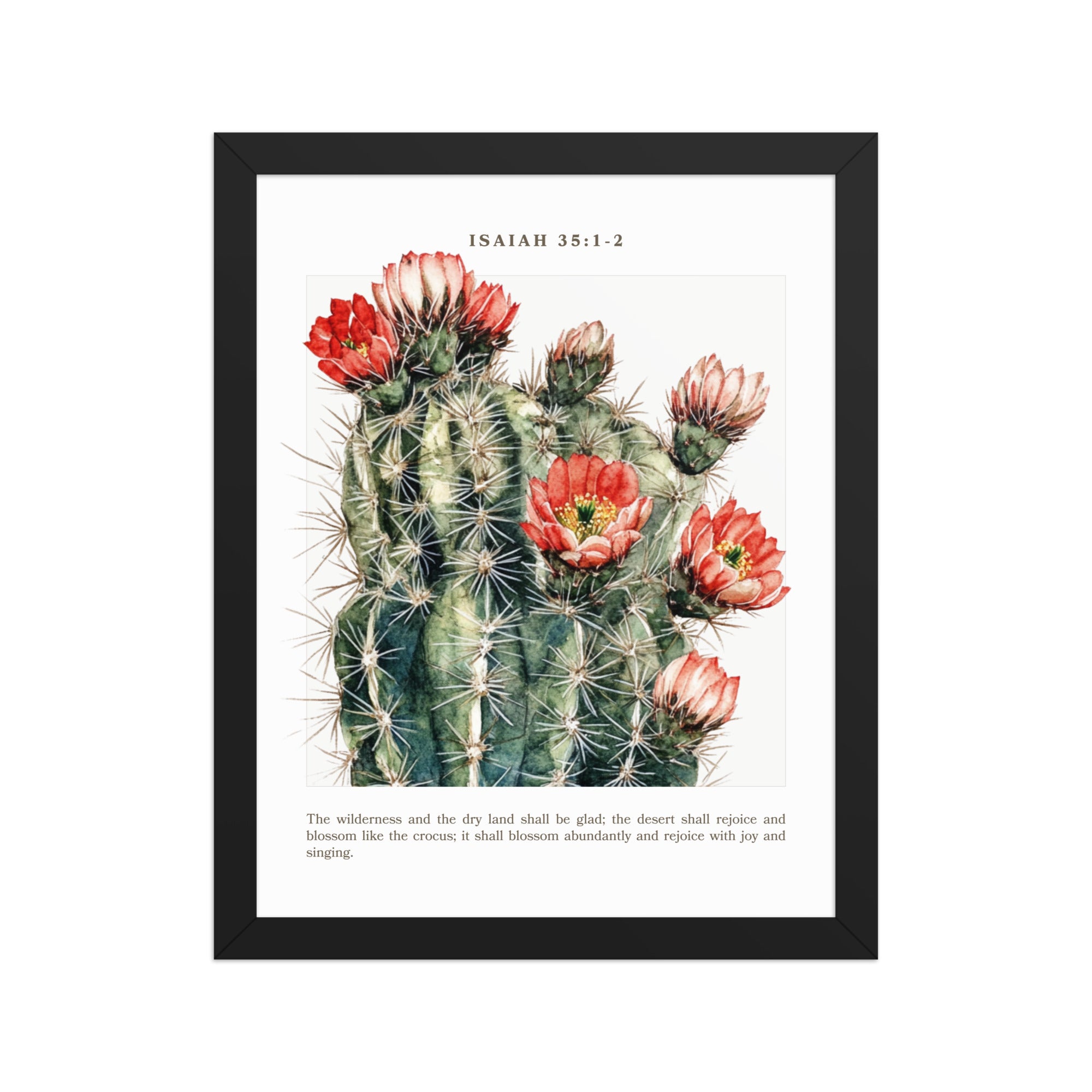 Isaiah 35:1-2 Flowering Cacti 11x14