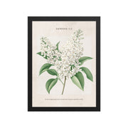 Genesis 1:1 - Vintage Style Floral on Beige Background    Unframed Matte Paper / 8″×10″-Unframed Matte Paper / 11″×14″-Unframed Matte Paper / 12″×16″-Unframed Matte Paper / 16″×20″-Unframed Matte Paper / 18″×24″ 