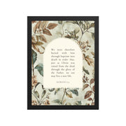 Romans 6:4 Botanical Background  