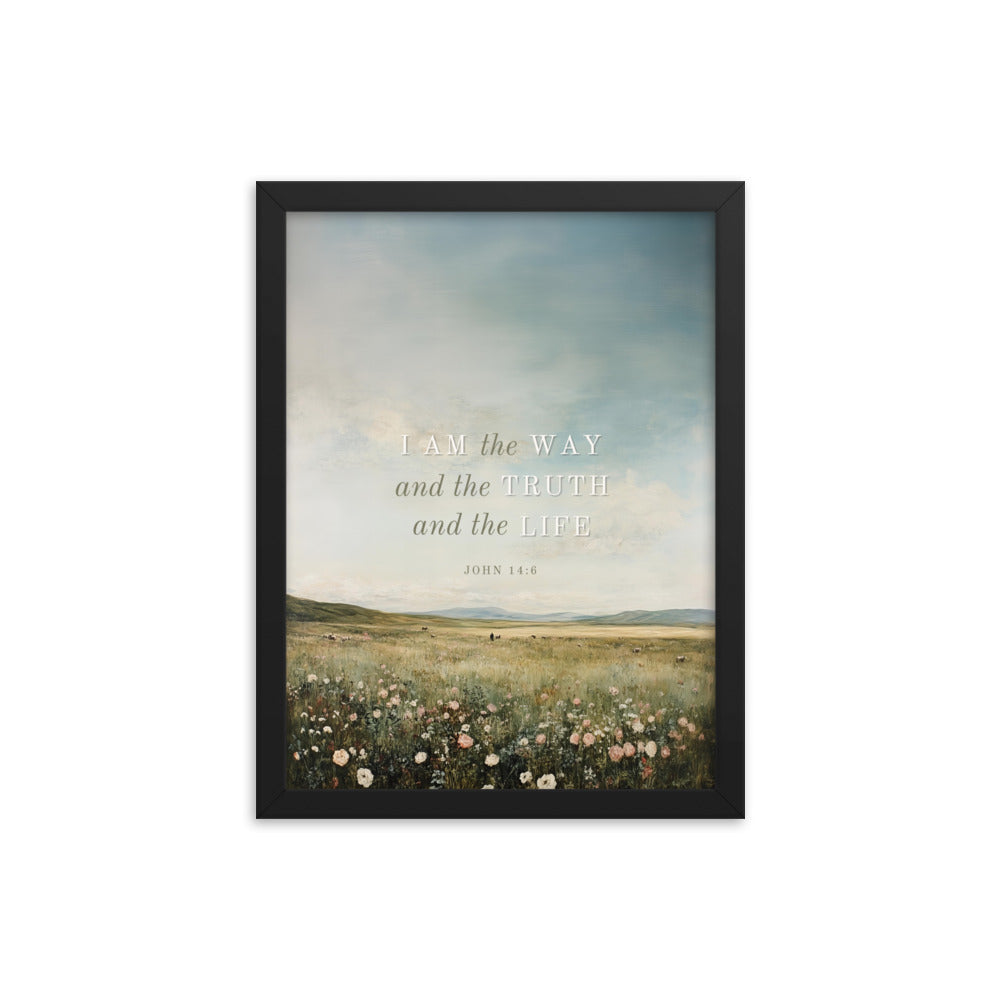 John 14:6 Meadow Scenery With Light Or Dark Text  