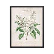 Genesis 1:1 - Vintage Style Floral on Beige Background    Unframed Matte Paper / 8″×10″-Unframed Matte Paper / 11″×14″-Unframed Matte Paper / 12″×16″-Unframed Matte Paper / 16″×20″-Unframed Matte Paper / 18″×24″ 