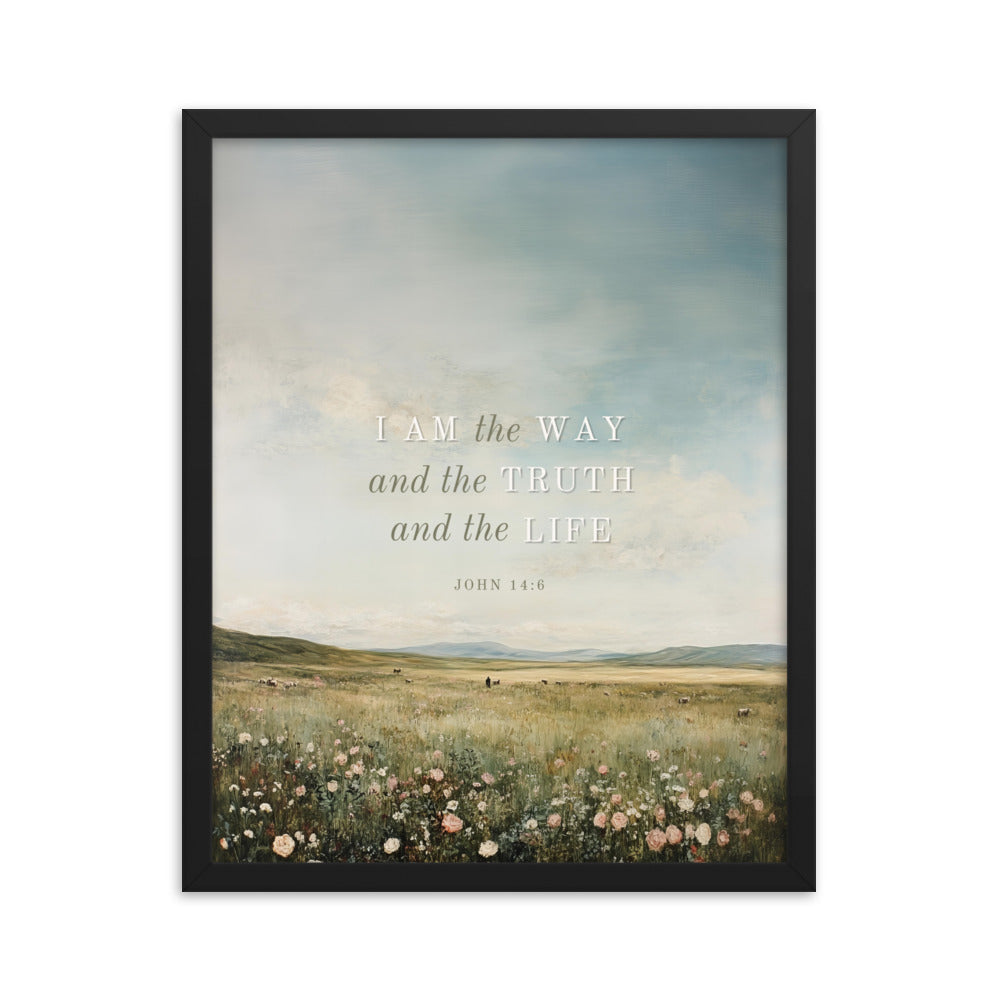 John 14:6 Meadow Scenery With Light Or Dark Text  