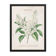 Genesis 1:1 - Vintage Style Floral on Beige Background    Unframed Matte Paper / 8″×10″-Unframed Matte Paper / 11″×14″-Unframed Matte Paper / 12″×16″-Unframed Matte Paper / 16″×20″-Unframed Matte Paper / 18″×24″ 
