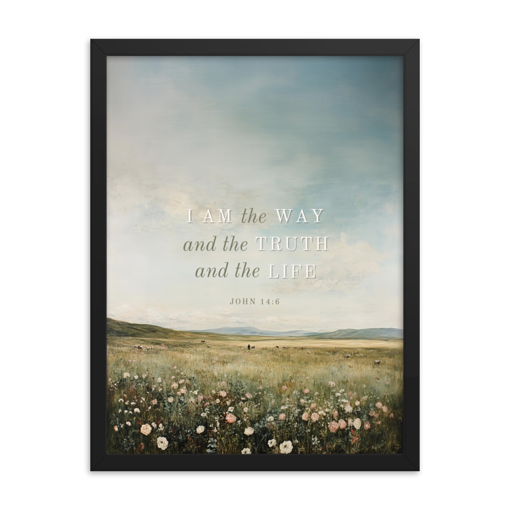 John 14:6 Meadow Scenery With Light Or Dark Text  