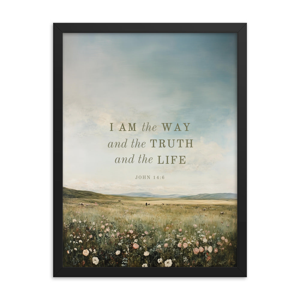 John 14:6 Meadow Scenery With Light Or Dark Text  