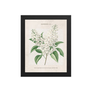 Genesis 1:1 - Vintage Style Floral on Beige Background    Unframed Matte Paper / 8″×10″-Unframed Matte Paper / 11″×14″-Unframed Matte Paper / 12″×16″-Unframed Matte Paper / 16″×20″-Unframed Matte Paper / 18″×24″ 