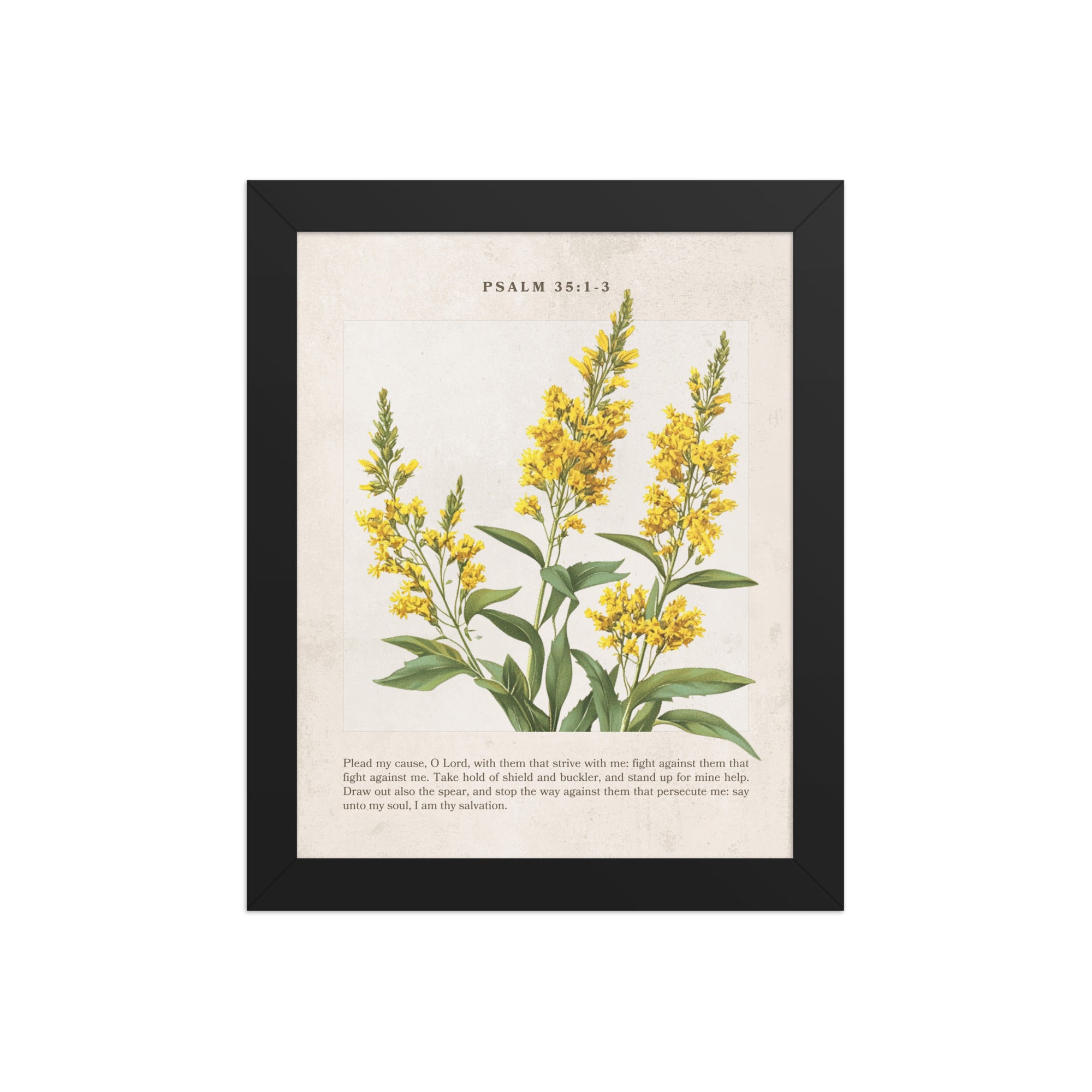 Psalm 35:1-3 Vintage Colorful Floral On Beige Background  