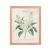 Genesis 1:1 - Vintage Style Floral on Beige Background    Unframed Matte Paper / 8″×10″-Unframed Matte Paper / 11″×14″-Unframed Matte Paper / 12″×16″-Unframed Matte Paper / 16″×20″-Unframed Matte Paper / 18″×24″ 