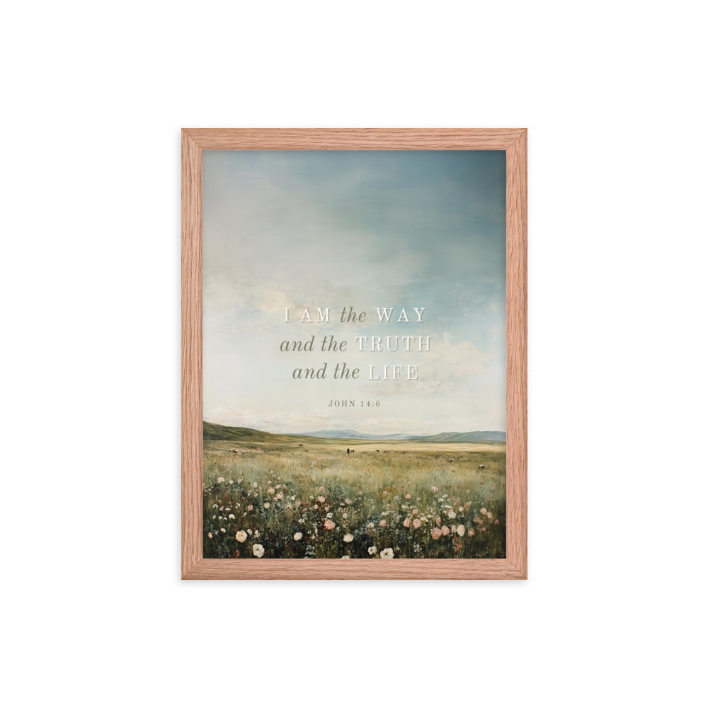 John 14:6 Meadow Scenery With Light Or Dark Text  