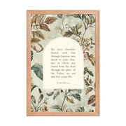 Romans 6:4 Botanical Background  