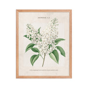Genesis 1:1 - Vintage Style Floral on Beige Background    Unframed Matte Paper / 8″×10″-Unframed Matte Paper / 11″×14″-Unframed Matte Paper / 12″×16″-Unframed Matte Paper / 16″×20″-Unframed Matte Paper / 18″×24″ 