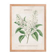 Genesis 1:1 - Vintage Style Floral on Beige Background    Unframed Matte Paper / 8″×10″-Unframed Matte Paper / 11″×14″-Unframed Matte Paper / 12″×16″-Unframed Matte Paper / 16″×20″-Unframed Matte Paper / 18″×24″ 
