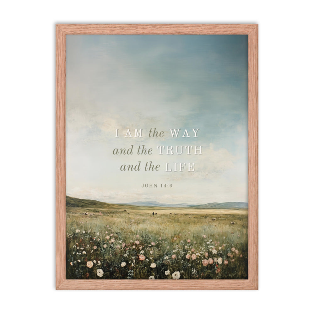 John 14:6 Meadow Scenery With Light Or Dark Text  