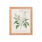 Genesis 1:1 - Vintage Style Floral on Beige Background    Unframed Matte Paper / 8″×10″-Unframed Matte Paper / 11″×14″-Unframed Matte Paper / 12″×16″-Unframed Matte Paper / 16″×20″-Unframed Matte Paper / 18″×24″ 