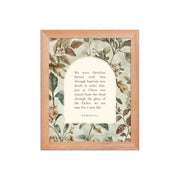 Romans 6:4 Botanical Background  