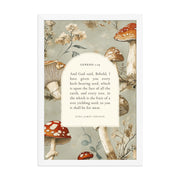 Genesis 1:29 Botanical Mushrooms Background  