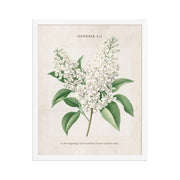 Genesis 1:1 - Vintage Style Floral on Beige Background    Unframed Matte Paper / 8″×10″-Unframed Matte Paper / 11″×14″-Unframed Matte Paper / 12″×16″-Unframed Matte Paper / 16″×20″-Unframed Matte Paper / 18″×24″ 