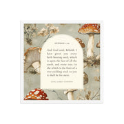 Genesis 1:29 Botanical Mushrooms Background 18x18