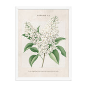 Genesis 1:1 - Vintage Style Floral on Beige Background    Unframed Matte Paper / 8″×10″-Unframed Matte Paper / 11″×14″-Unframed Matte Paper / 12″×16″-Unframed Matte Paper / 16″×20″-Unframed Matte Paper / 18″×24″ 