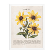 Psalm 37 1-4 Vintage Colorful Floral On Beige Background  