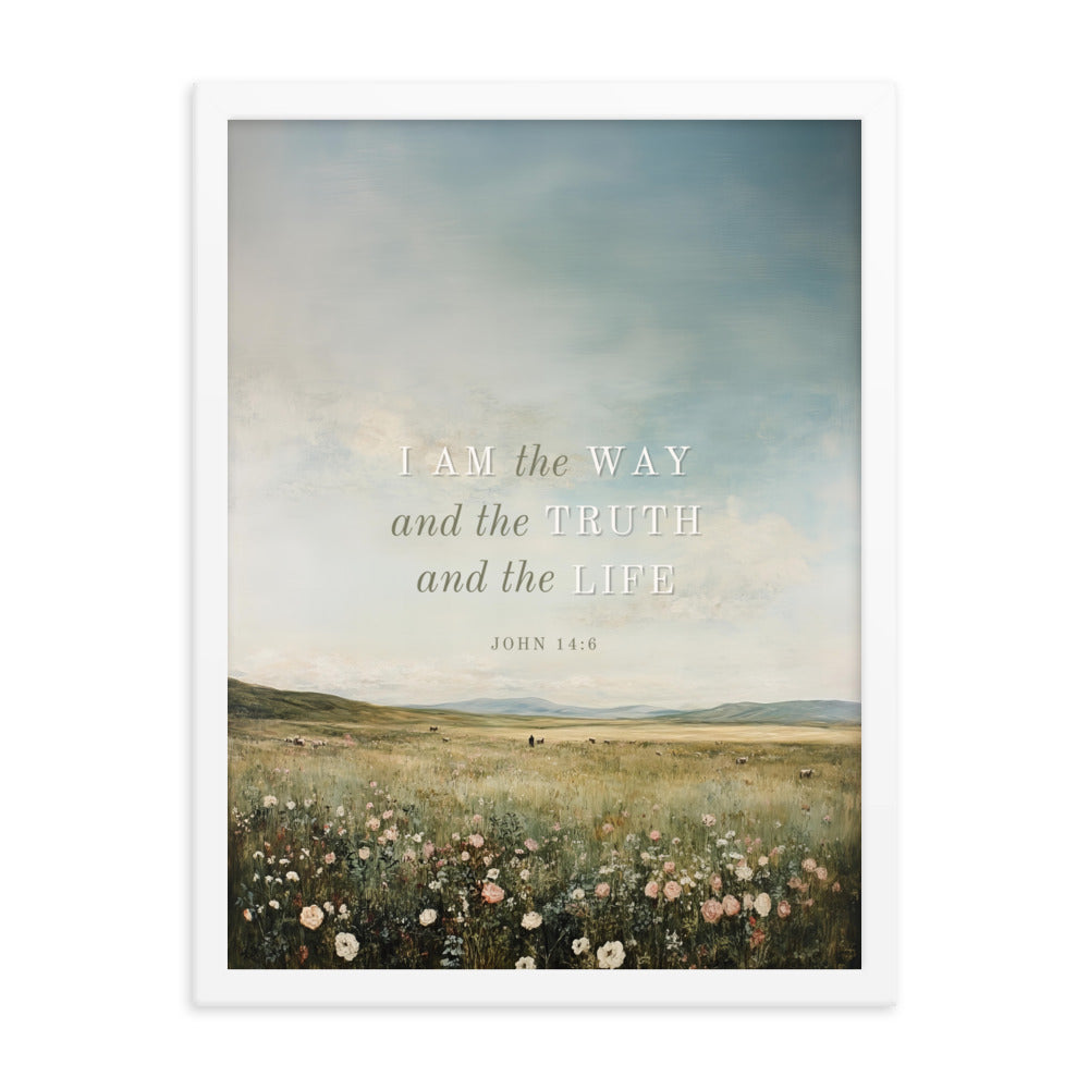 John 14:6 Meadow Scenery With Light Or Dark Text  