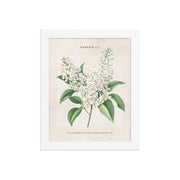 Genesis 1:1 - Vintage Style Floral on Beige Background    Unframed Matte Paper / 8″×10″-Unframed Matte Paper / 11″×14″-Unframed Matte Paper / 12″×16″-Unframed Matte Paper / 16″×20″-Unframed Matte Paper / 18″×24″ 
