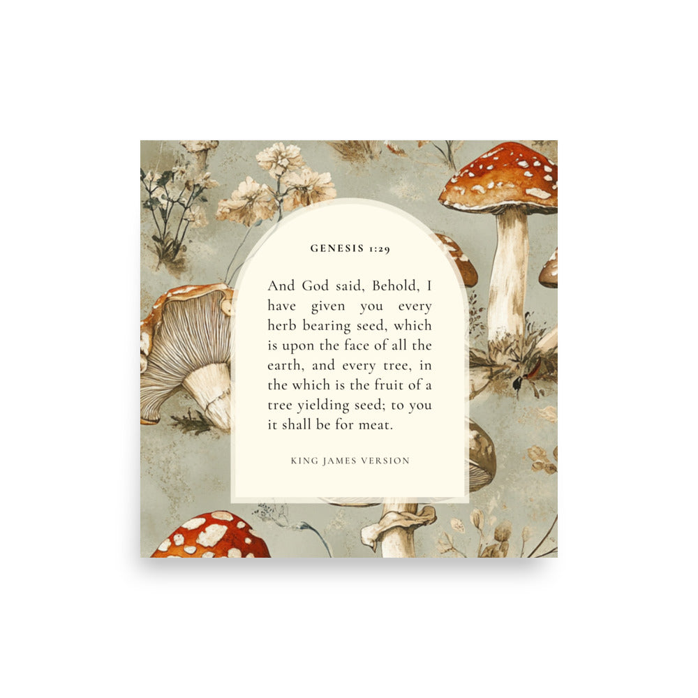 Genesis 1:29 Botanical Mushrooms Background 10x10