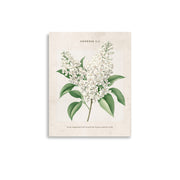 Genesis 1:1 - Vintage Style Floral on Beige Background    Unframed Matte Paper / 8″×10″-Unframed Matte Paper / 11″×14″-Unframed Matte Paper / 12″×16″-Unframed Matte Paper / 16″×20″-Unframed Matte Paper / 18″×24″ 