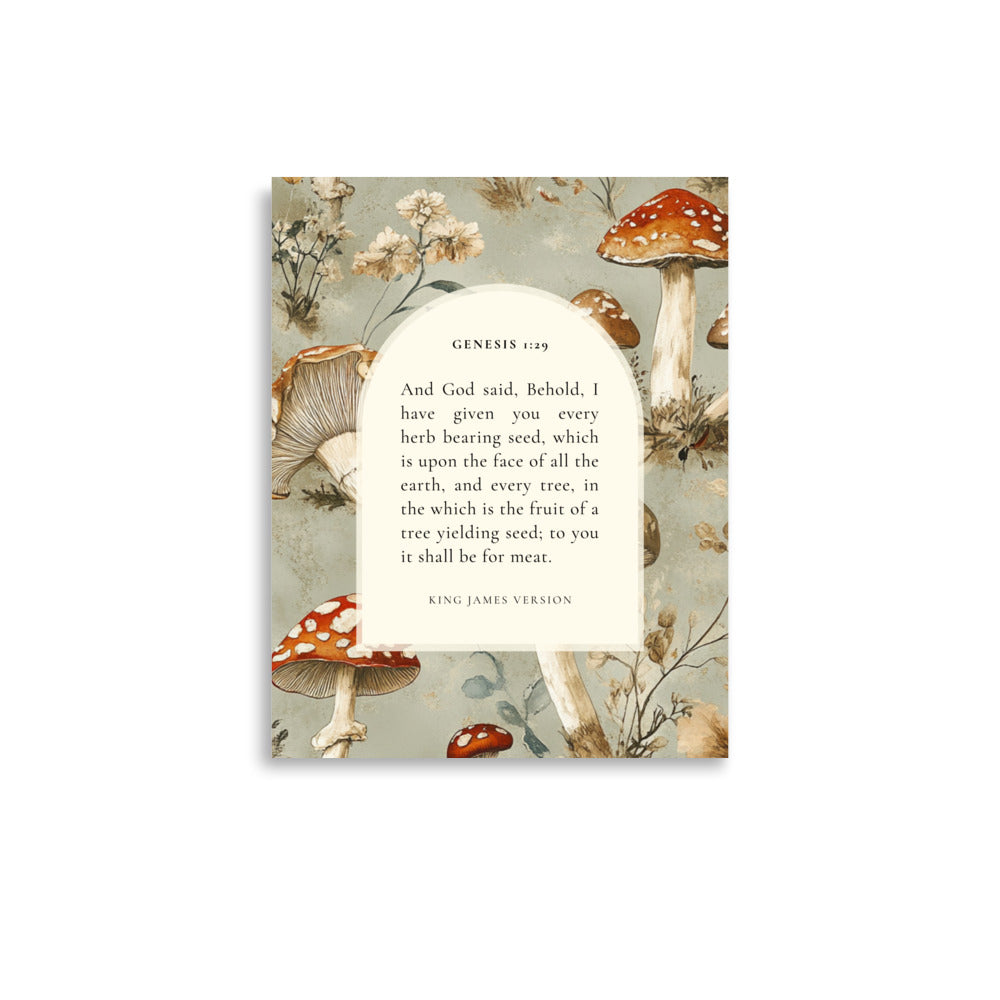 Genesis 1:29 Botanical Mushrooms Background 11x14