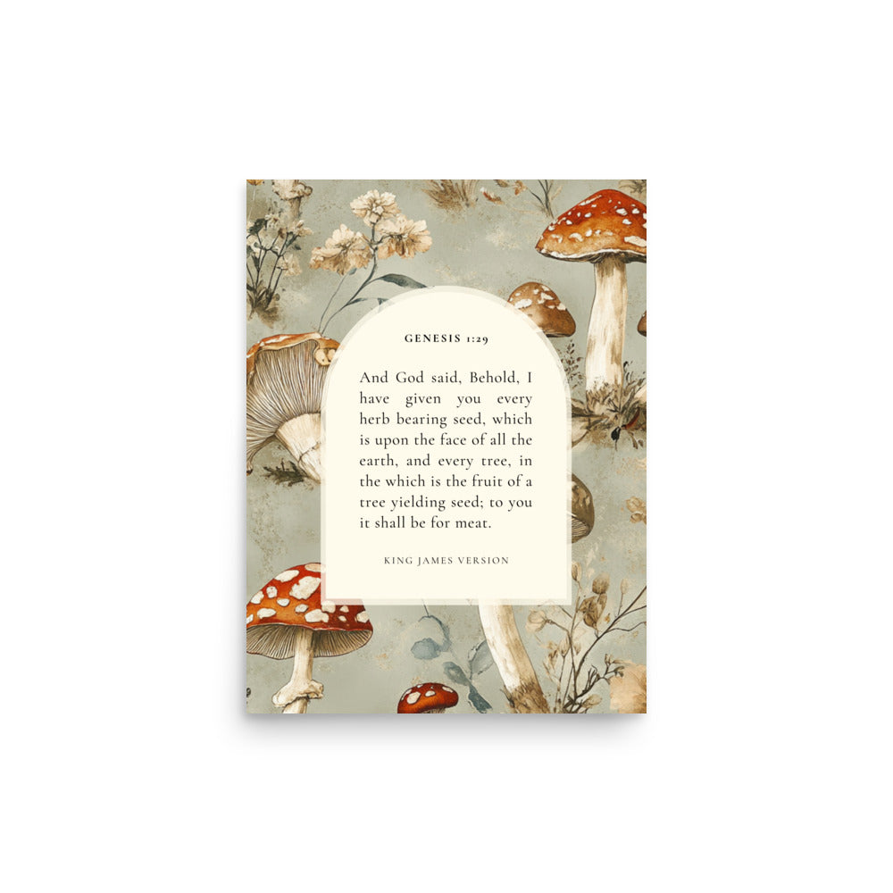 Genesis 1:29 Botanical Mushrooms Background 12x16