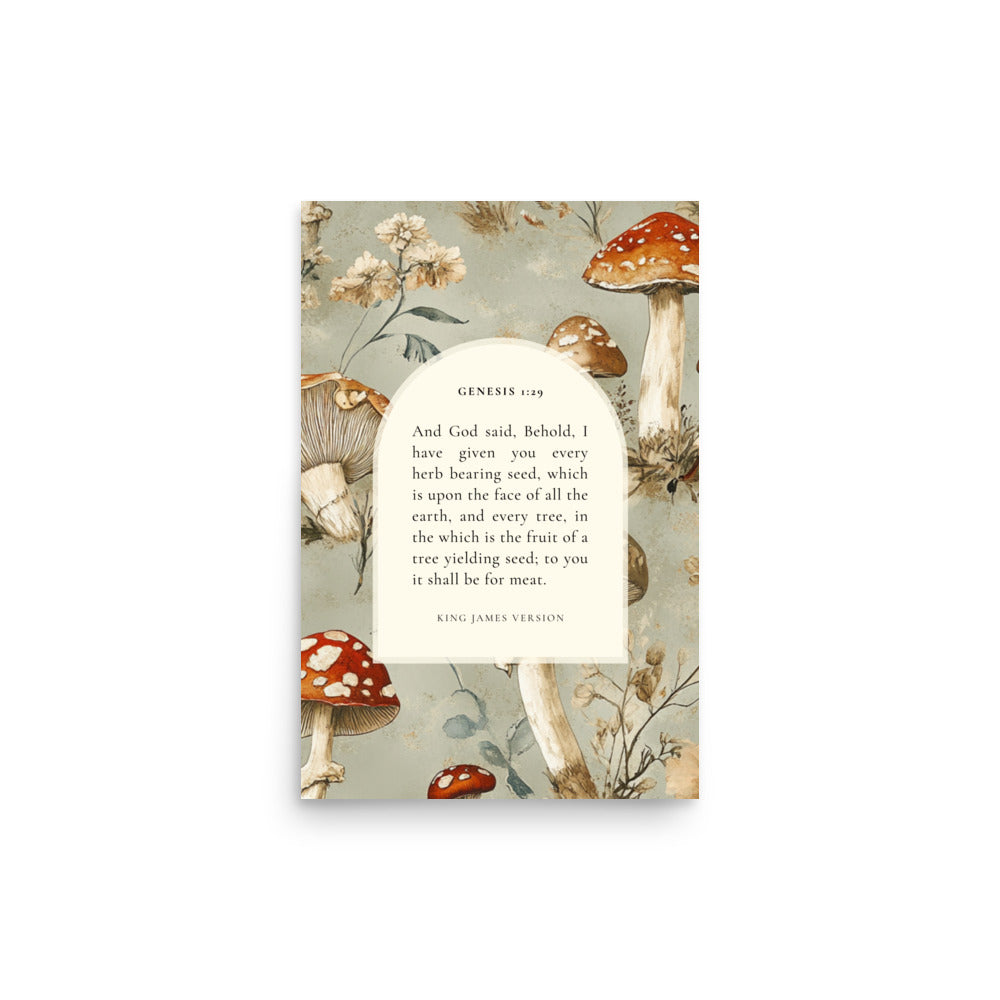 Genesis 1:29 Botanical Mushrooms Background 12x18