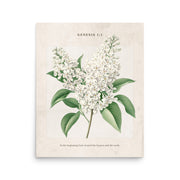 Genesis 1:1 - Vintage Style Floral on Beige Background    Unframed Matte Paper / 8″×10″-Unframed Matte Paper / 11″×14″-Unframed Matte Paper / 12″×16″-Unframed Matte Paper / 16″×20″-Unframed Matte Paper / 18″×24″ 