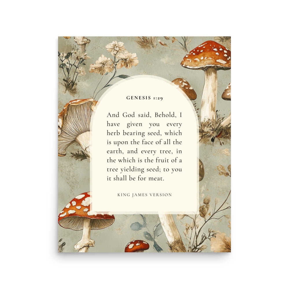 Genesis 1:29 Botanical Mushrooms Background 16x20