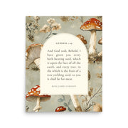 Genesis 1:29 Botanical Mushrooms Background 16x20