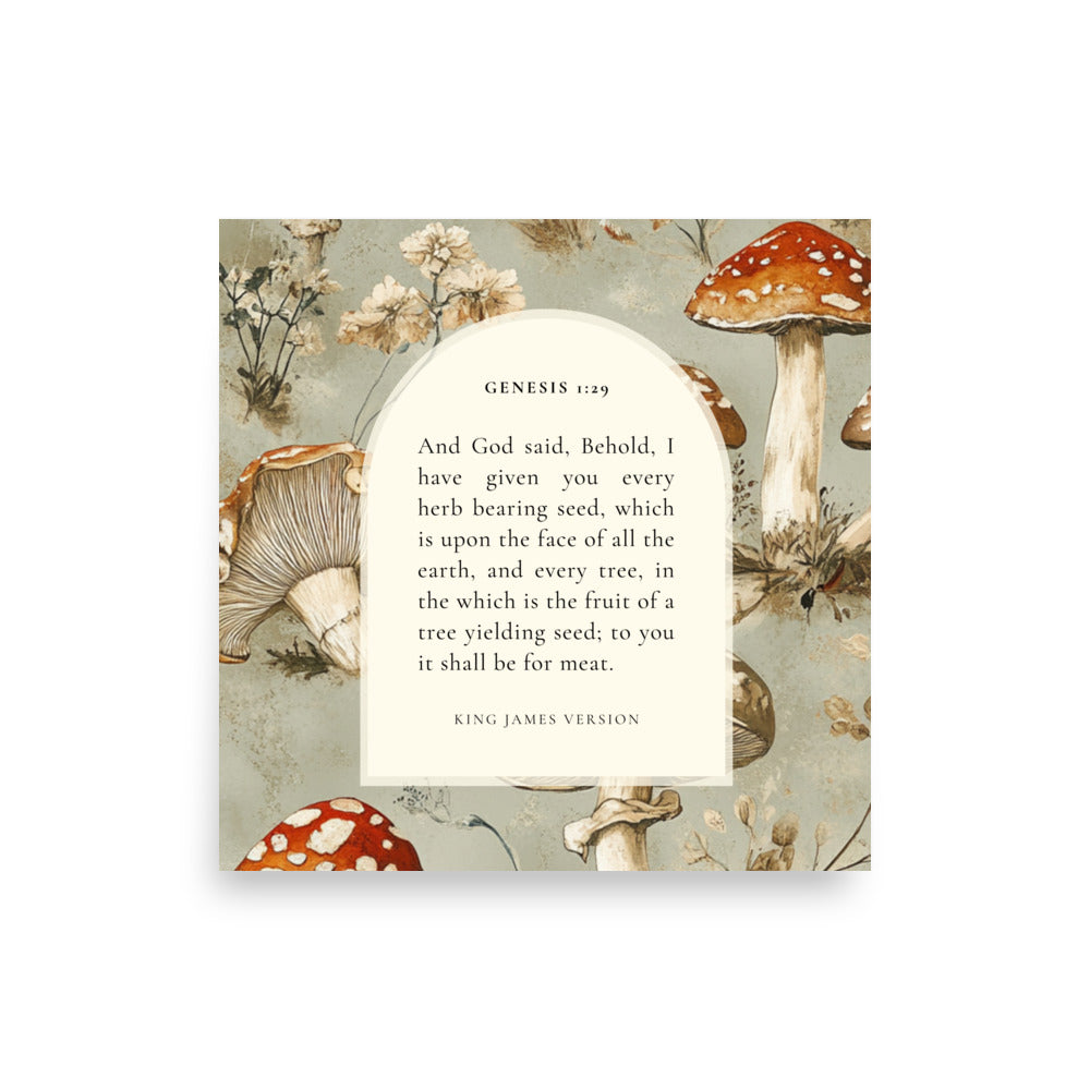 Genesis 1:29 Botanical Mushrooms Background 18x18