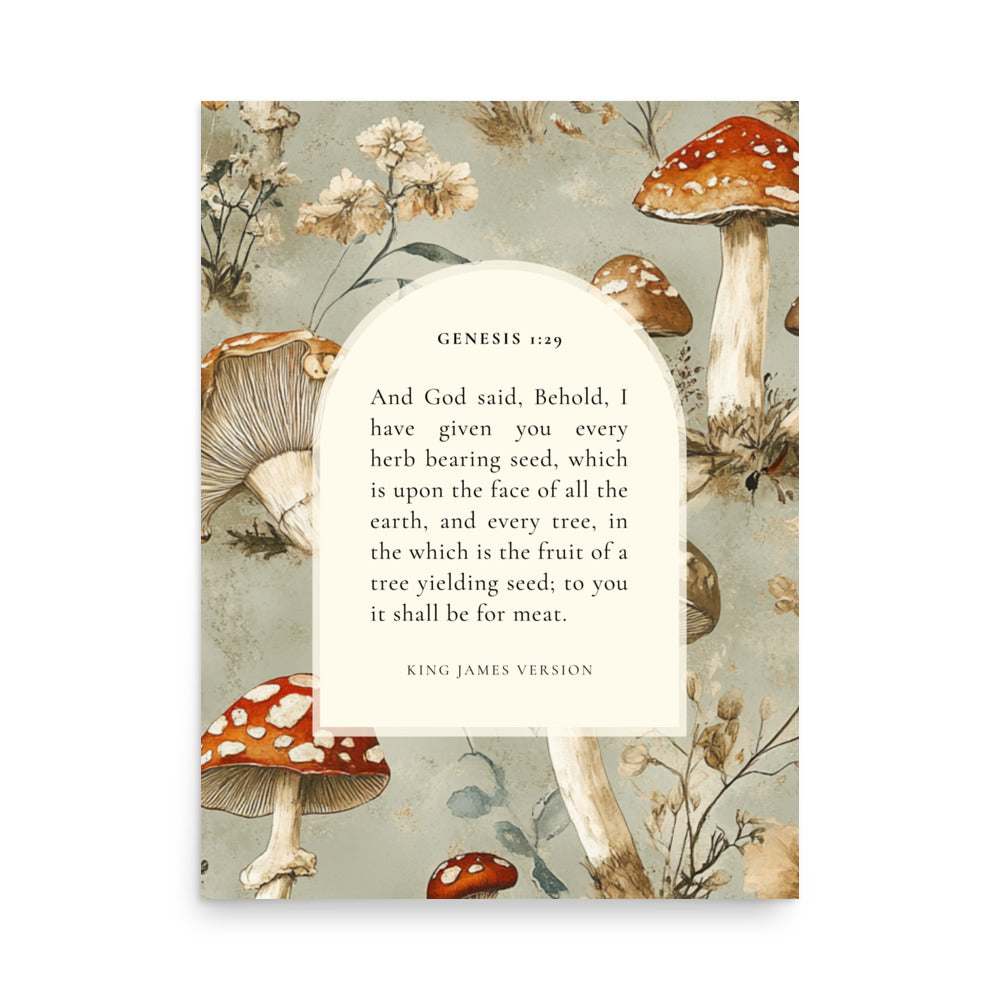 Genesis 1:29 Botanical Mushrooms Background 18x24