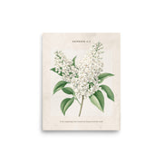 Genesis 1:1 - Vintage Style Floral on Beige Background    Unframed Matte Paper / 8″×10″-Unframed Matte Paper / 11″×14″-Unframed Matte Paper / 12″×16″-Unframed Matte Paper / 16″×20″-Unframed Matte Paper / 18″×24″ 