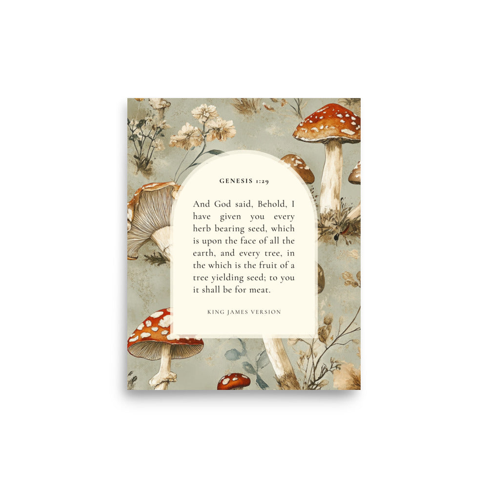 Genesis 1:29 Botanical Mushrooms Background 8x10