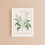 Genesis 1:1 - Vintage Style Floral on Beige Background    Unframed Matte Paper / 8″×10″-Unframed Matte Paper / 11″×14″-Unframed Matte Paper / 12″×16″-Unframed Matte Paper / 16″×20″-Unframed Matte Paper / 18″×24″ 